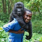 Cheap Gorilla Trekking Uganda and Rwanda