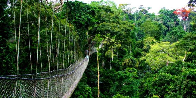 Rwanda National Parks