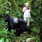 Rwanda Gorilla Tours, Uganda Gorilla safaris, DR Congo Tours