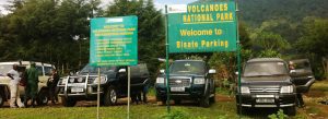 Transport to Volcanos Gorilla park