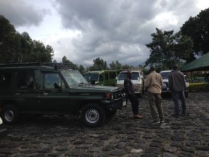 Rwanda Mountain Gorillas and Golden Monkey Tracking