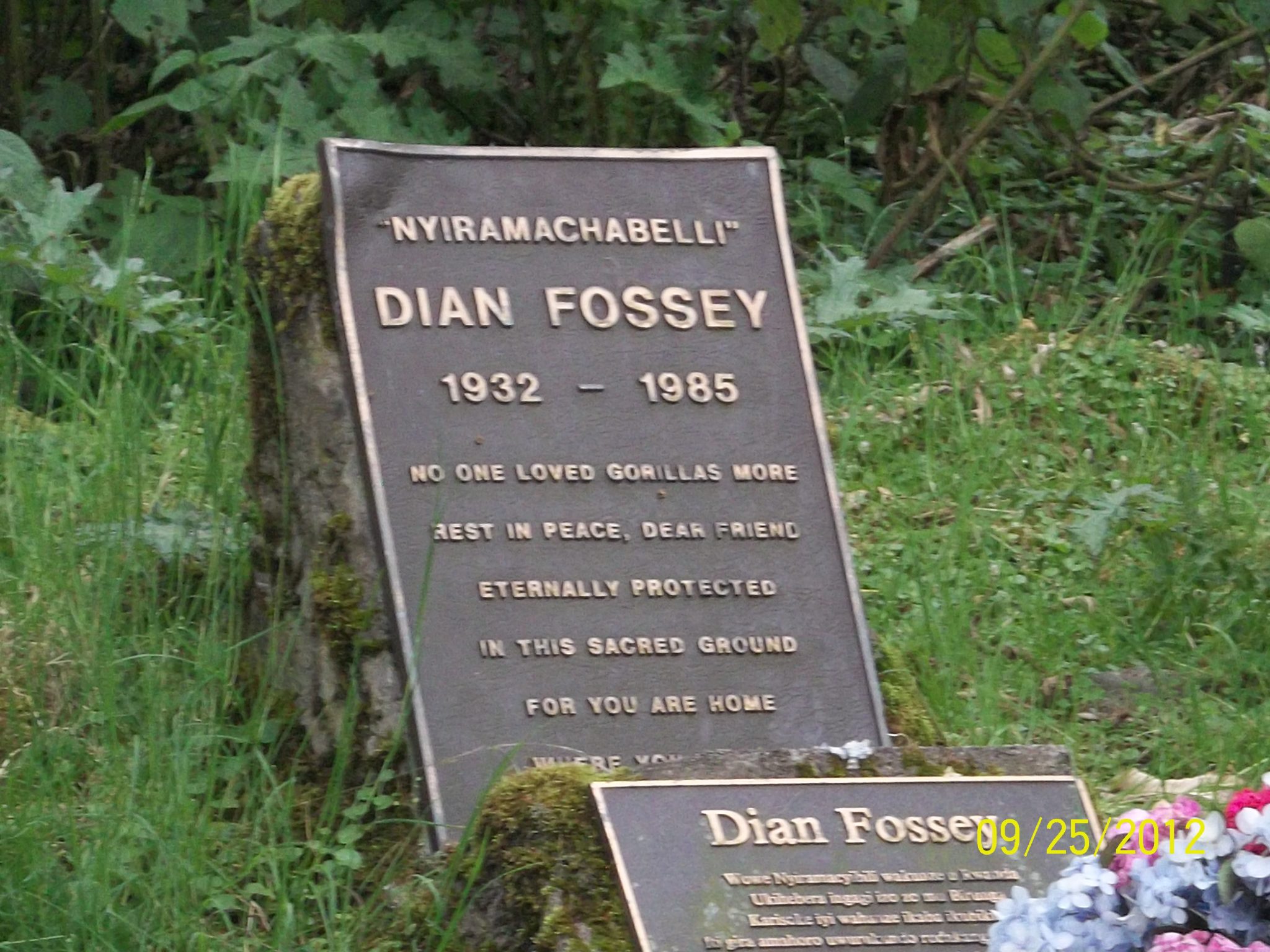 Dian Fossey Grave Hike