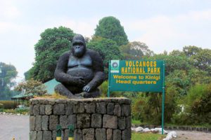 Tourist Activities in Volcanoes National Park