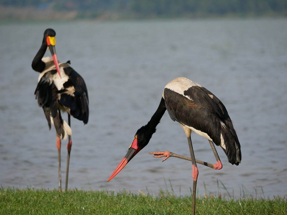Tourist Activities on Lake Bunyonyi Uganda Recreation Center