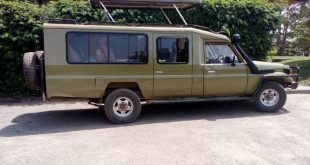 Transport to Volcanos Gorilla Park