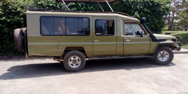 Transport to Volcanos Gorilla Park