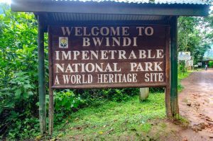 Bwindi Gorilla National Park
