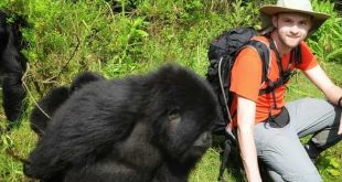 Mountain Gorilla Trekking in Uganda