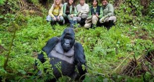 Gorilla Trek Rwanda