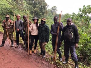 One Day Budget Gorilla Trekking in Uganda