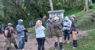 4 Days Gorilla and Golden Monkeys Tracking in Uganda