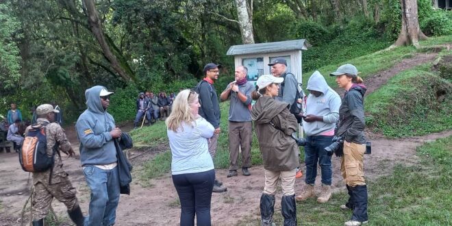 4 Days Gorilla and Golden Monkeys Tracking in Uganda