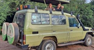 16 DAYS BEST OF UGANDA AND TANZANIA SAFARI (Kampala City Tour, Kibale forest, Queen Elizabeth Park, Bwind Forest, Lake Eyasi, Ngorongoro Area + Crater, Ndutu and Central Serengeti)
