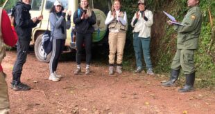 One-Day Gorilla Trekking Rwanda Safari Tour