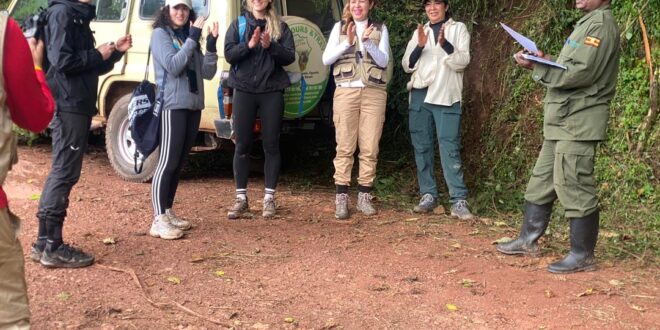 One-Day Gorilla Trekking Rwanda Safari Tour